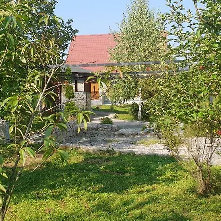 Garden Lohovo Holiday home *