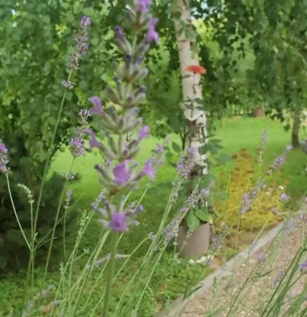 Garden Lohovo Bihać