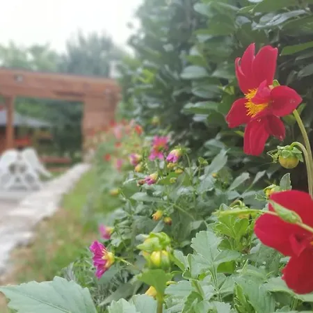 Garden Lohovo * Bihac